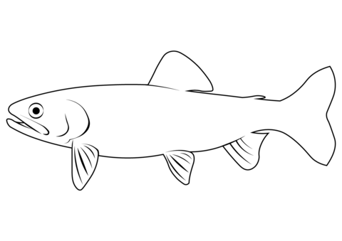 California Golden Trout (Oncorhynchus Aguabonita) Coloring Page